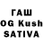 Псилоцибиновые грибы GOLDEN TEACHER Gary Nave