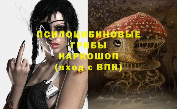 гашик Богородск
