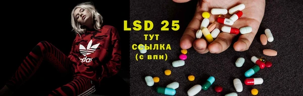 MESCALINE Богданович