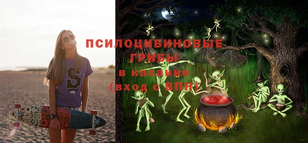 гашик Богородск