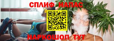 PSILOCYBIN Гатчина
