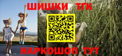 PSILOCYBIN Гатчина