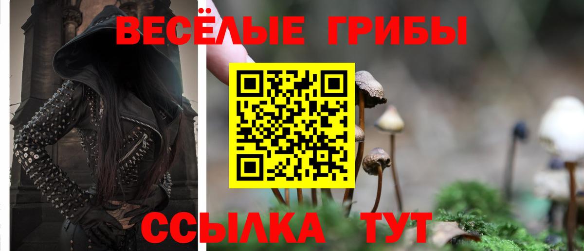 Наро-Фоминск  Галлюциногенные грибы GOLDEN TEACHER  Вход с VPN 